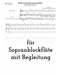 Fuchs, du hast die Gans...