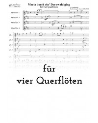 Maria durch ein' Dornwald ging