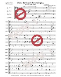 Maria durch ein' Dornwald ging