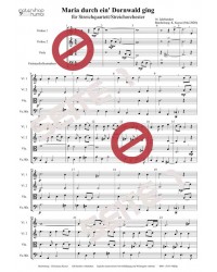 Maria durch ein' Dornwald ging