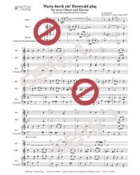 Maria durch ein' Dornwald ging