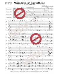 Maria durch ein' Dornwald ging