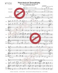 Maria durch ein' Dornwald ging