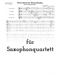 Maria durch ein' Dornwald ging