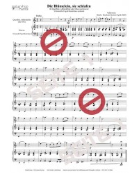 Die Blümelein, sie schlafen