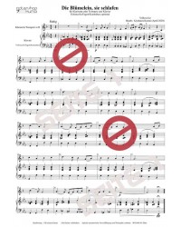 Die Blümelein, sie schlafen