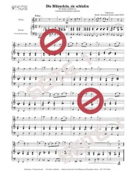 Die Blümelein, sie schlafen