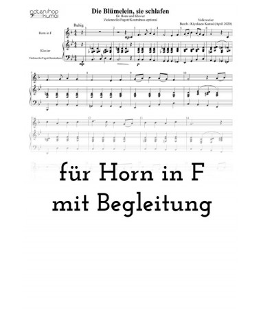 Die Blümelein, sie schlafen