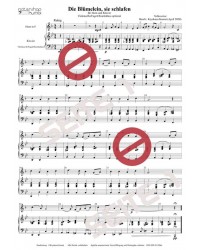 Die Blümelein, sie schlafen