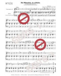 Die Blümelein, sie schlafen