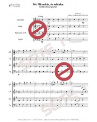 Die Blümelein, sie schlafen