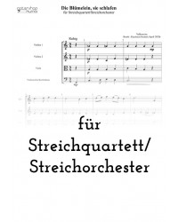 Die Blümelein, sie schlafen