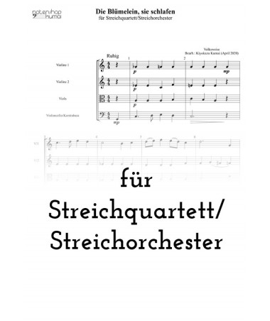 Die Blümelein, sie schlafen