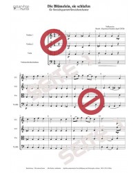 Die Blümelein, sie schlafen