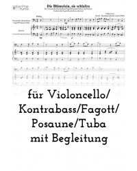 Die Blümelein, sie schlafen