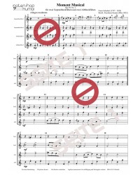 Moment Musical op. 94/3