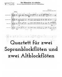 Die Blümelein, sie schlafen