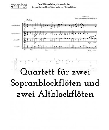 Die Blümelein, sie schlafen