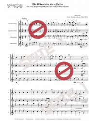 Die Blümelein, sie schlafen