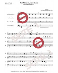 Die Blümelein, sie schlafen