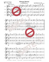 Moment Musical op. 94/3
